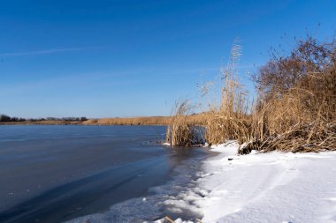 Donmuş bir nehirde karlı bir sahil