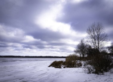 Nehir kıyısında karla kaplı donmuş nehir, ağaçlar ve sazlıklar.