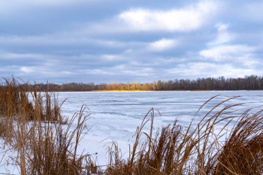 Karla kaplı donmuş bir nehir ve nehrin diğer tarafındaki bir adaya güneş ışığı düşüyor, nehir kıyısına sazlıklar dökülüyor.