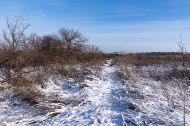 Güneşli bir kış gününde tepeler karla kaplıydı.