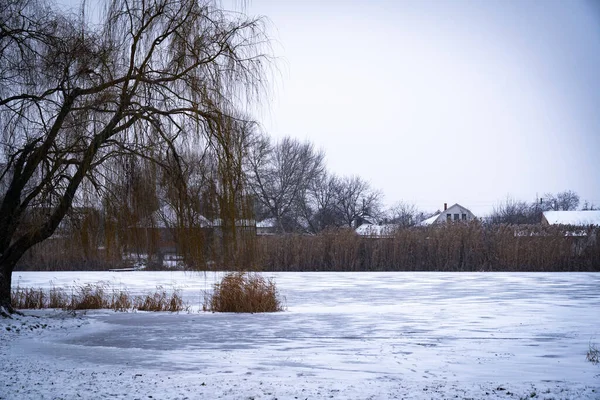 Verschneiter See Einem Park Der Nähe Der Stadt — Stockfoto