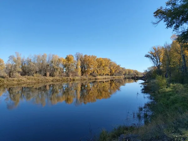 Couleurs Dorées Automne Sur Fond Bleu — Photo