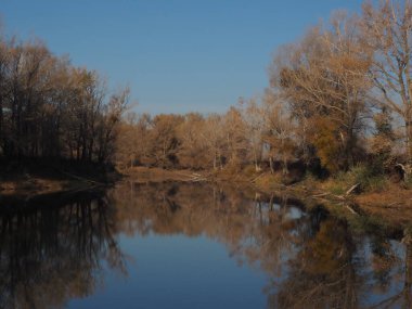 Orman gölünde bir sonbahar sabahı