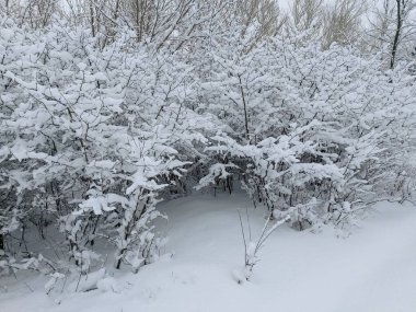 Özgün arkaplan resmi kar taneleri tarafından oluşturuldu