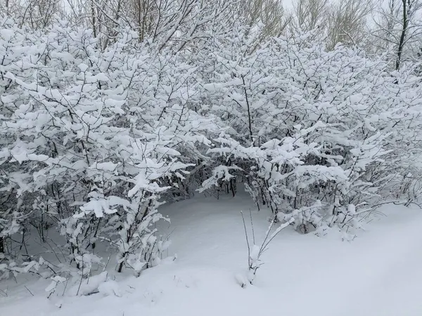 Özgün arkaplan resmi kar taneleri tarafından oluşturuldu