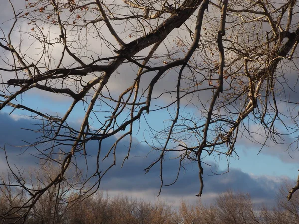 Schwere Wolken Ziehen Über Den Herbstwald — Stockfoto