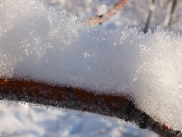 Mit Frost Überzogene Äste — Stockfoto