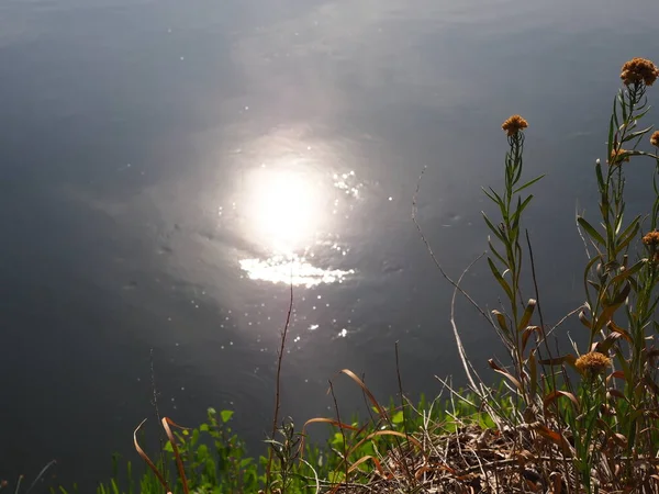 Morning Sun Reflecting Surface River — 图库照片