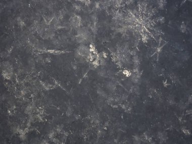 snow after a snowfall shines in the sun