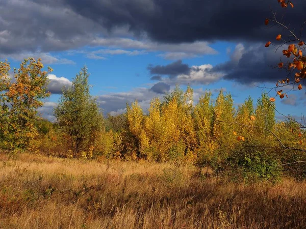 Dark Clouds Floating Low Autumn Forest — Stock Photo, Image