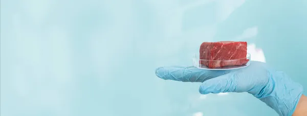 Concepto de carne cultivada en laboratorio - carne en placas de Petri — Foto de Stock