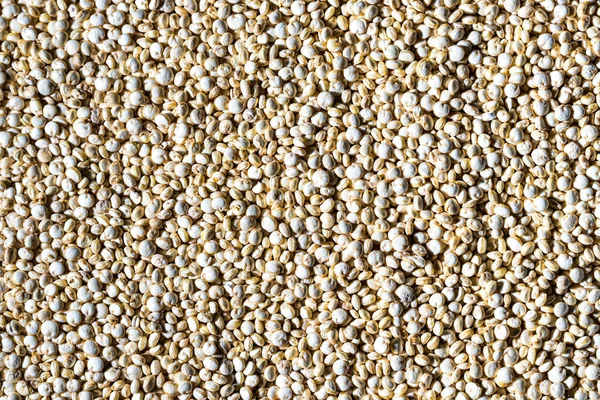 Niegotowane Białe Quinoa Tle Nasion Tekstura Żywności — Zdjęcie stockowe