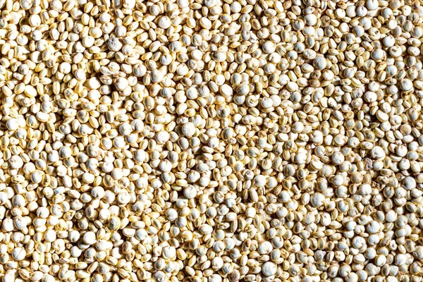 Niegotowane Białe Quinoa Tle Nasion Tekstura Żywności — Zdjęcie stockowe
