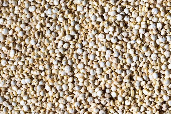 Fundo Sementes Quinoa Branca Não Cozida Textura Alimentar — Fotografia de Stock