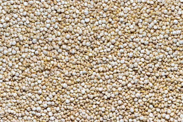 Okokt Vit Quinoa Frön Bakgrund Livsmedelsstruktur — Stockfoto