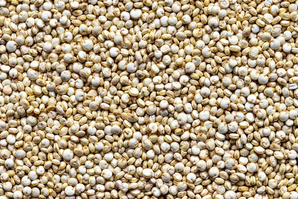 Uncooked White Quinoa Seeds Background Food Texture Royalty Free Stock Images