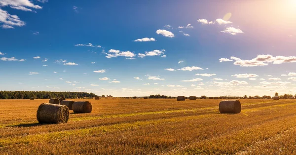 Scène Met Hooibergen Het Veld Herfst Zonnige Dag Landelijk Landschap — Stockfoto