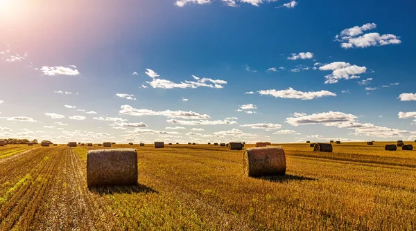 秋天阳光灿烂的日子里 田里堆满了干草堆 多云的天空背景下的乡村风景 农田里小麦的黄金收获 — 图库照片