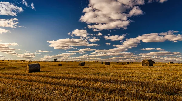 Escena Con Pajar Campo Otoño Día Soleado Paisaje Rural Con — Foto de Stock