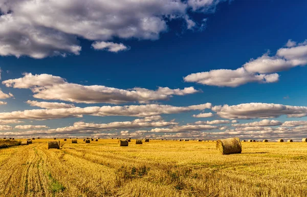 Scène Met Hooibergen Het Veld Herfst Zonnige Dag Landelijk Landschap — Stockfoto