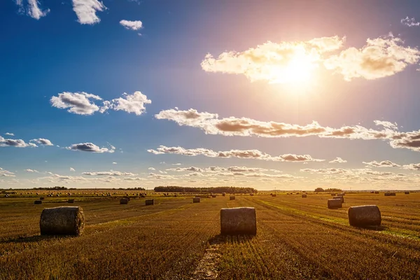 Scène Met Hooibergen Het Veld Herfst Zonnige Dag Landelijk Landschap — Stockfoto