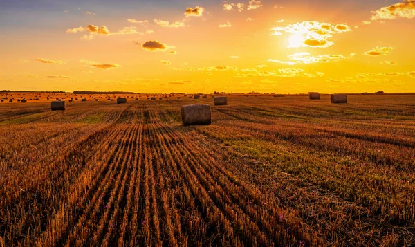 Campo Com Palheiros Uma Noite Outono Com Céu Nublado Fundo — Fotografia de Stock