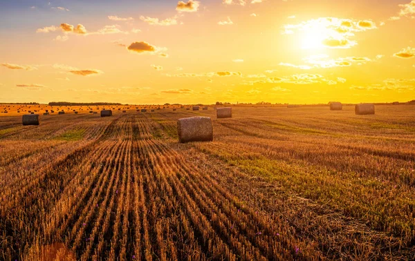 Campo Con Pajar Una Noche Otoño Con Cielo Nublado Fondo — Foto de Stock