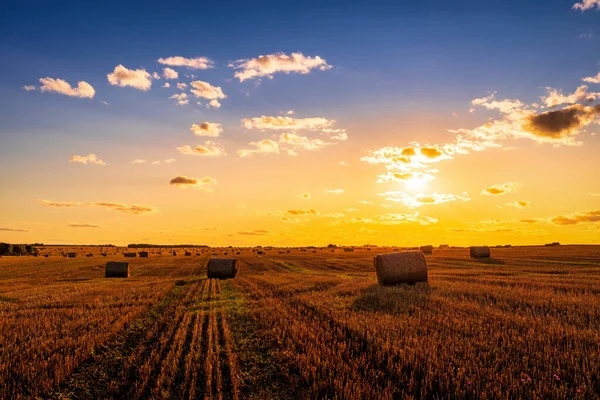 Ett Fält Med Höstack Höstkväll Med Mulen Himmel Bakgrunden Vid — Stockfoto