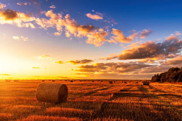 Ein Feld Mit Heuhaufen Einem Herbstabend Mit Bewölktem Himmel Hintergrund — Stockfoto