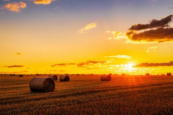 Campo Con Pajar Una Noche Otoño Con Cielo Nublado Fondo — Foto de Stock