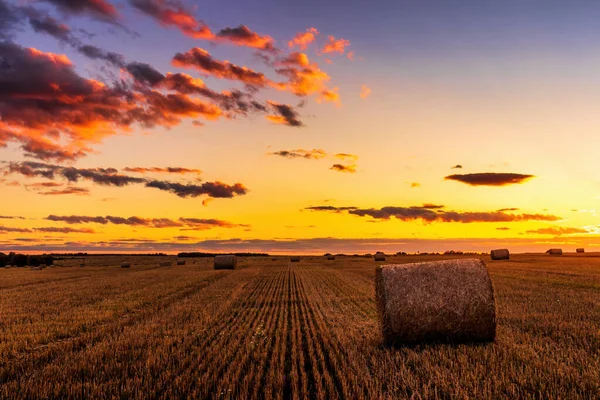 Campo Com Palheiros Uma Noite Outono Com Céu Nublado Fundo — Fotografia de Stock