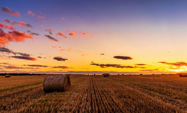 Field Haystacks Autumn Evening Cloudy Sky Background Sunset Sunrise Procurement — Stock Photo, Image