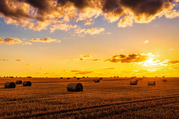 秋天的夜晚 有干草堆的田野 日落或日出时 背景上有云彩的天空 农业动物饲料采购 免版税图库照片
