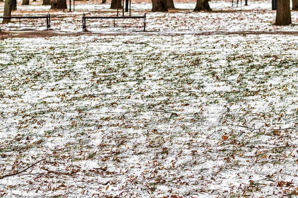 První Sníh Hnědém Spadaném Listí Zelená Tráva Parku Přelomu Podzimu — Stock fotografie