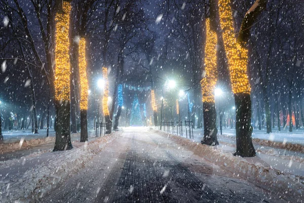 Снегопад Зимнем Парке Ночью Рождественскими Украшениями Светящимися Фонарями Тротуаром Покрытым — стоковое фото