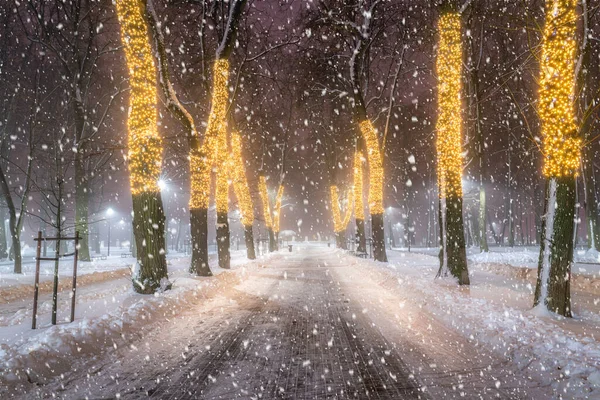 Schneefall Einem Winterpark Der Nacht Mit Weihnachtsdekoration Leuchtenden Laternen Schneebedecktem — Stockfoto