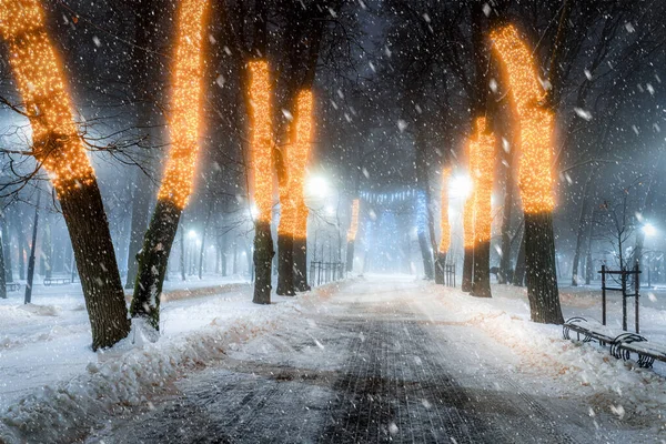 Nieve Parque Invierno Por Noche Con Decoraciones Navideñas Linternas Brillantes — Foto de Stock