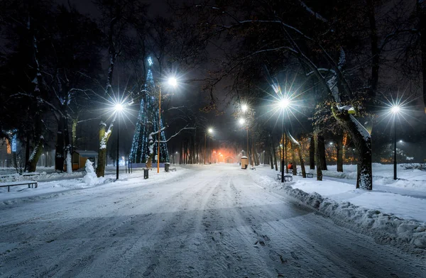 Winter Park Night Christmas Decorations Glowing Lanterns Pavement Covered Snow — Stock Photo, Image