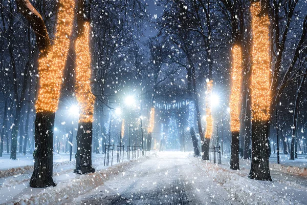 Snowfall Winter Park Night Christmas Decorations Glowing Lanterns Pavement Covered — Stock Photo, Image