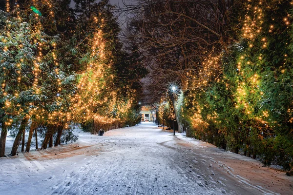 Zimní Park Noci Vánoční Výzdobou Zářící Lucerny Chodník Pokrytý Sněhem — Stock fotografie