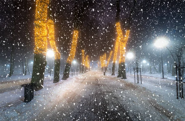 Snowfall Winter Park Night Christmas Decorations Glowing Lanterns Pavement Covered — Stockfoto