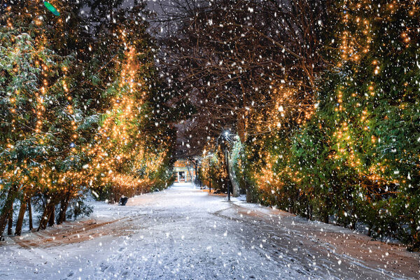 Snowfall in a winter park at night with christmas decorations, glowing lanterns, pavement covered with snow and trees in foggy weather.