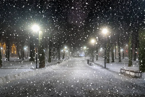 Nieve Parque Invierno Por Noche Con Decoraciones Navideñas Linternas Brillantes —  Fotos de Stock