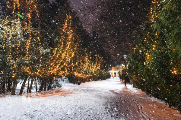 Snowfall Winter Park Night Christmas Decorations Glowing Lanterns Pavement Covered — Stockfoto