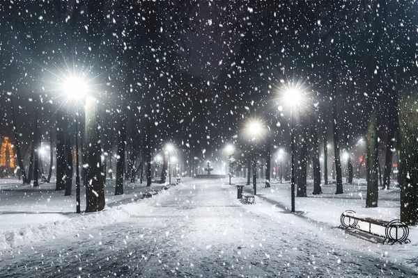 Nieve Parque Invierno Por Noche Con Decoraciones Navideñas Linternas Brillantes —  Fotos de Stock