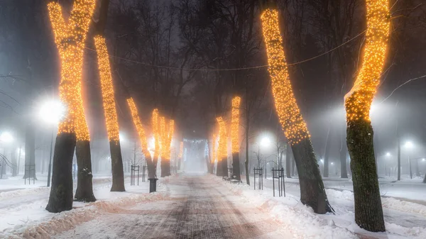 Winter Park Night Christmas Decorations Glowing Lanterns Pavement Covered Snow — Stockfoto