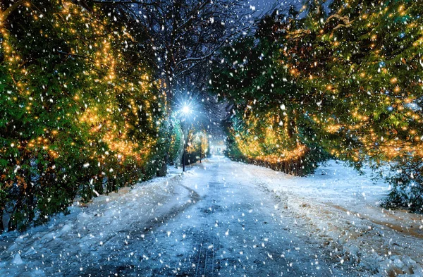 Nieve Parque Invierno Por Noche Con Decoraciones Navideñas Linternas Brillantes —  Fotos de Stock