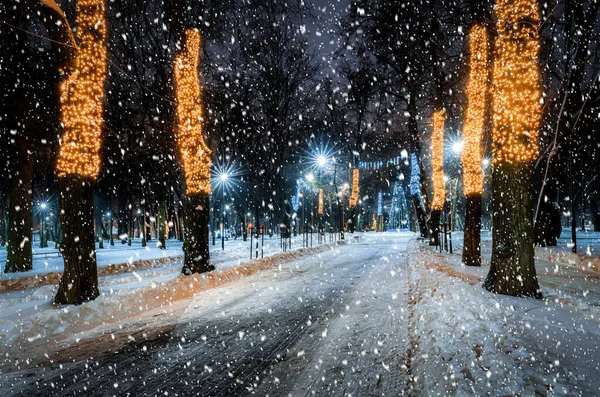 Снегопад Зимнем Парке Ночью Рождественскими Украшениями Светящимися Фонарями Тротуаром Покрытым — стоковое фото