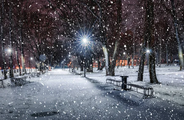Sníh Zimním Parku Noci Vánoční Výzdobou Zářícími Lucernami Chodníkem Pokrytým — Stock fotografie