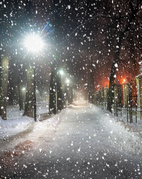 Śnieg Zimowym Parku Nocy Dekoracjami Świątecznymi Świecącymi Latarniami Chodnikiem Pokrytym — Zdjęcie stockowe